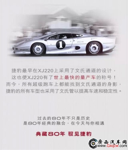 捷豹 (1)_副本3.jpg