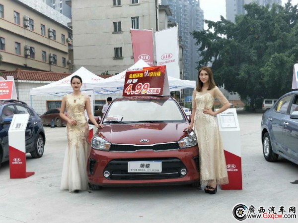 多款車型任你選