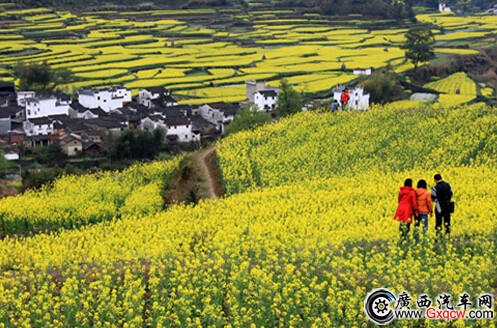 1426148596447384.jpg 1.jpg