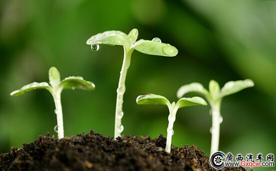 1426585219148833.jpg 1.jpg