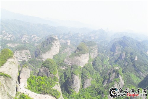 1427939586382743.jpg 2.jpg