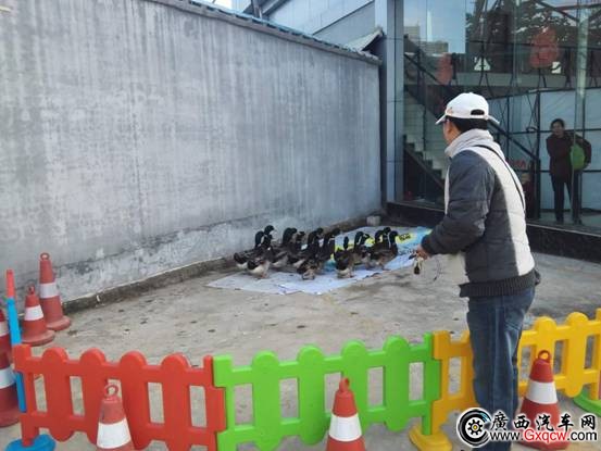 1480336328233395.jpg 619502183479072979