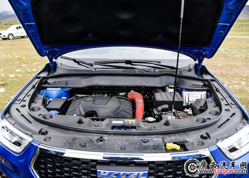 1491459584392903.jpg 6.jpg