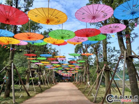 1521210858187678.jpg 1.jpg