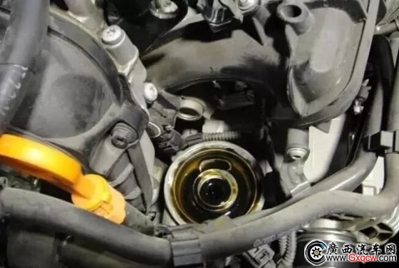 1528340556496174.jpg t01acac762a654ef1b7.webp.jpg