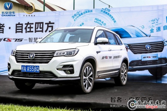 1533519665538677.jpg 5.jpg