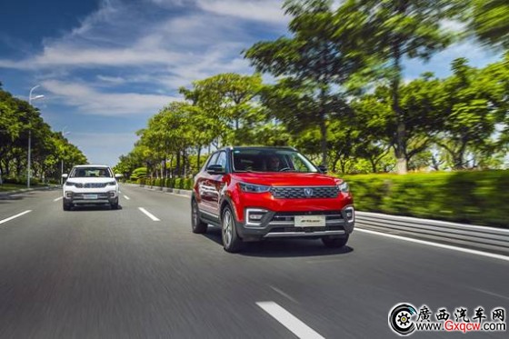 1537251926878923.jpg _MJ_2526 x