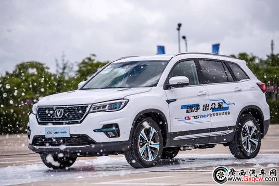 1537834135516437.jpg 圖片/上海14號(hào)精選/DSC_2559.jpg