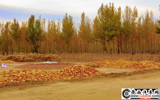 1538190506359057.gif 微信截圖_20180926154906