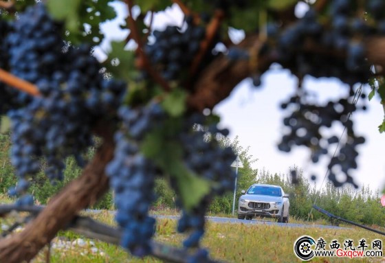 1538352159687392.jpg 7.jpg