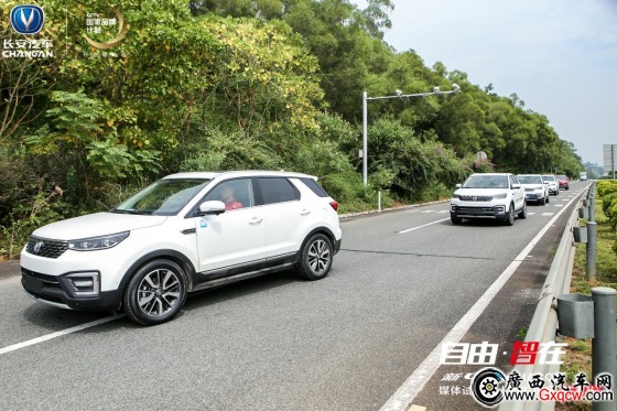 1539441920407550.jpg ͼƬ8.jpg