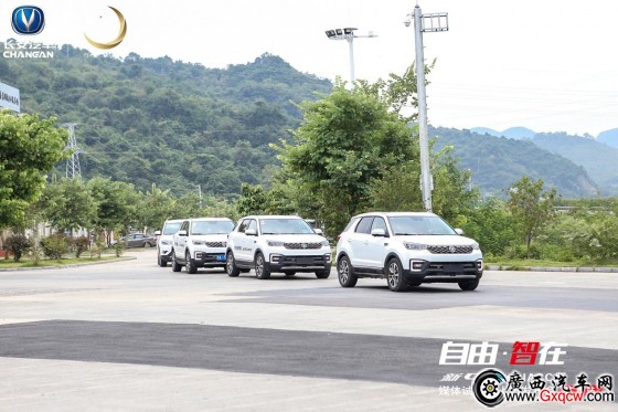 1539441949561399.jpg ͼƬ10.jpg