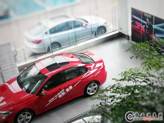 1550479815892582.jpg 1.jpg