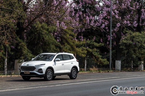 1587442498893689.jpg 圖片1.jpg